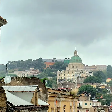 Bed & Breakfast Berenice