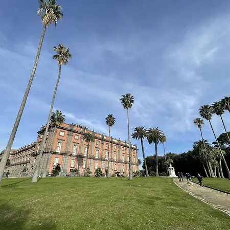 Berenice Bed & Breakfast Napoli